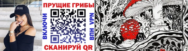 Псилоцибиновые грибы Psilocybe  Туапсе 